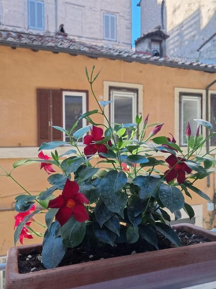 Maison d'hôtes Town House Spagna 2*